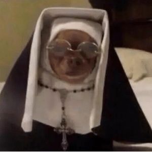 Meet your Posher, Liam